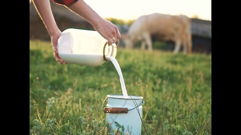 Raw Milk