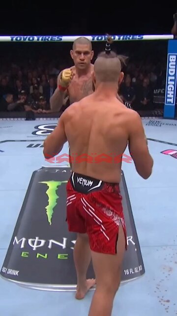 THE MOST BRUTAL KNOCKOUTS of 2024! 💣🥶