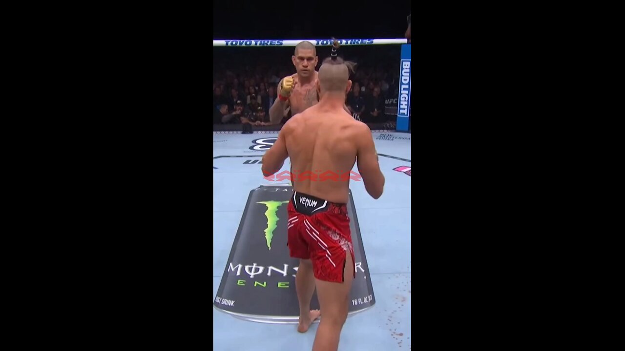 THE MOST BRUTAL KNOCKOUTS of 2024! 💣🥶