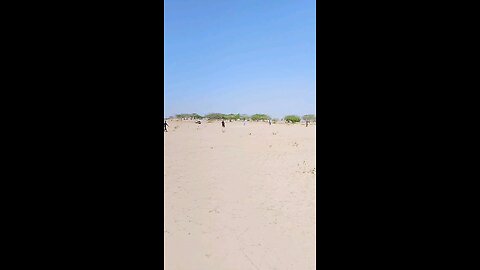 playing cricket