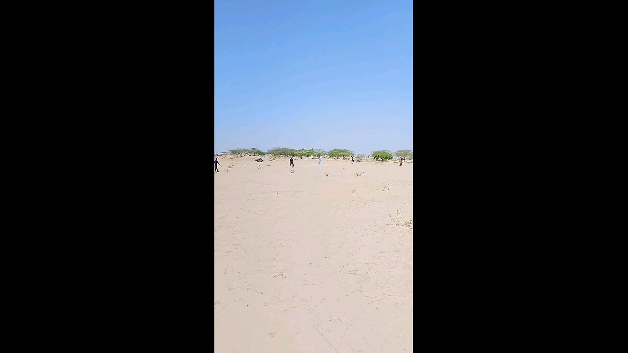 playing cricket
