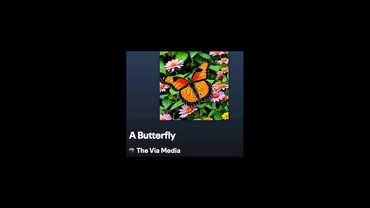 A Butterfly