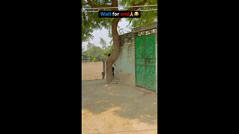 # Ladai dhekhne ke Fayde funny 😂🤣 videos
