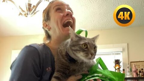 BEST PET VIDEOS 🤣 | 90 Minutes of the Funniest Shorts