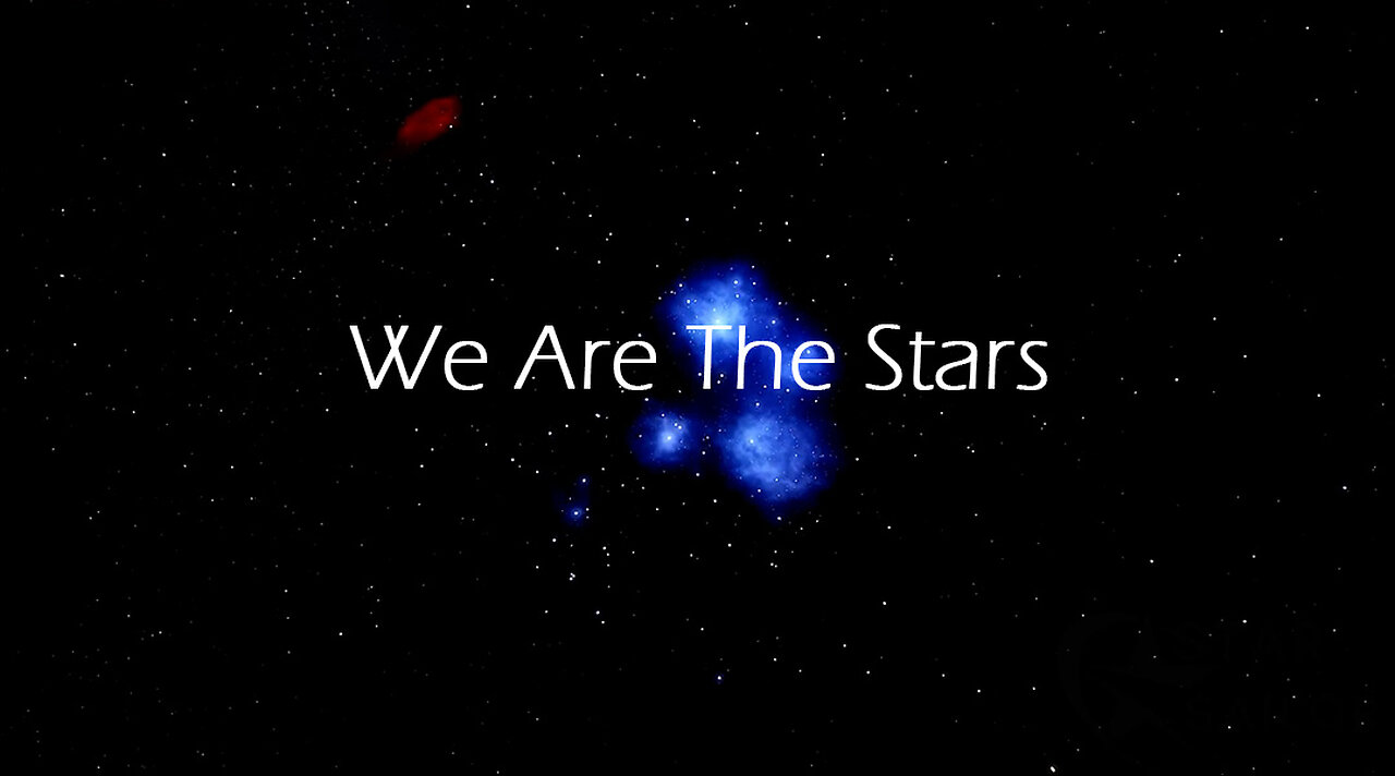 We Are The Stars