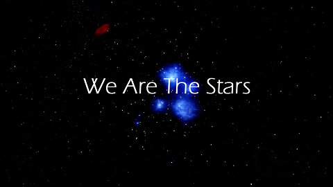 We Are The Stars
