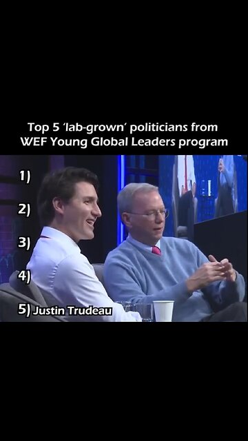 Top-5 "Lab grown" Politicians from the WEF YOUNG GLOBAL LEADERS program