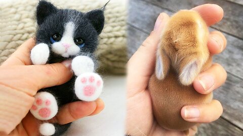 Too Cute to Handle! Baby Animal Moments Compilation #3