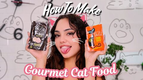 How To Make Gourmet Cat Food