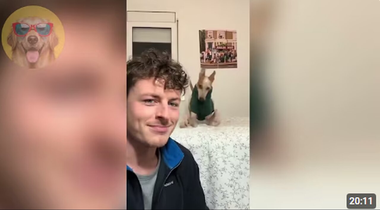 Dogs Causing CHAOS And It’s Hilarious! #