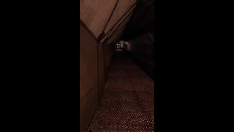 Run Leg Run!!!