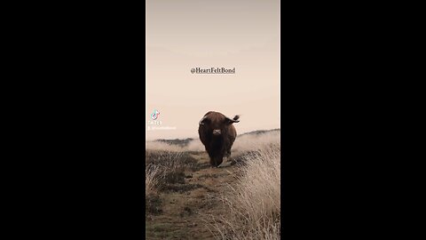 Better Days are coming... Motivation and inspirational video.