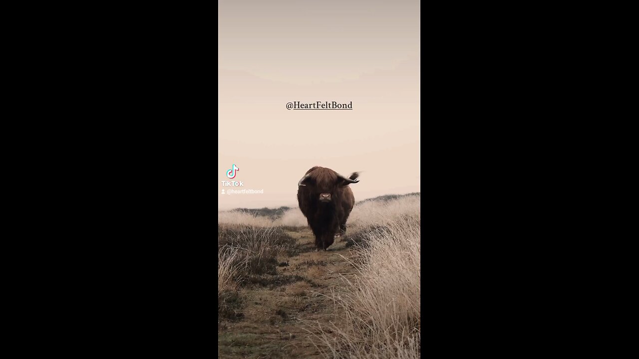 Better Days are coming... Motivation and inspirational video.