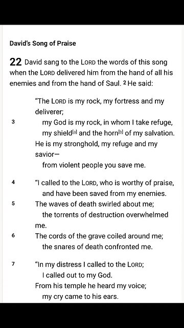 Shaman high on 🍄🌋🙈