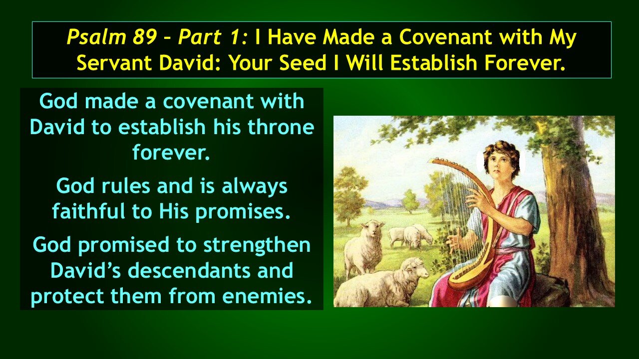 Video Bible Study: The Book of Psalms - #051