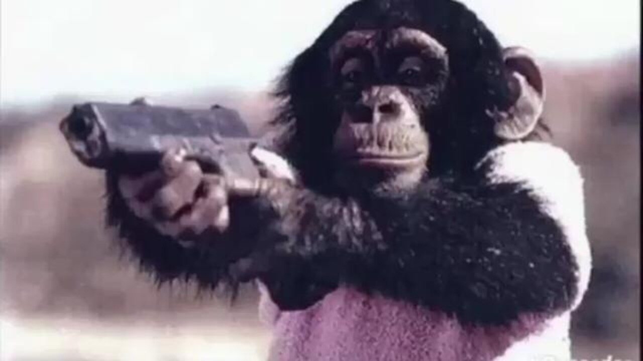 New Reports Show Atlanta Crime Dropping Mostly Due To Niggers Being Killed By Said Crime