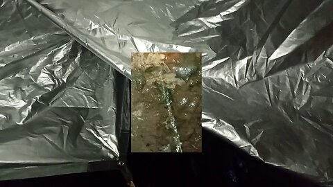 10, morning, darkness after the storm, felt like a