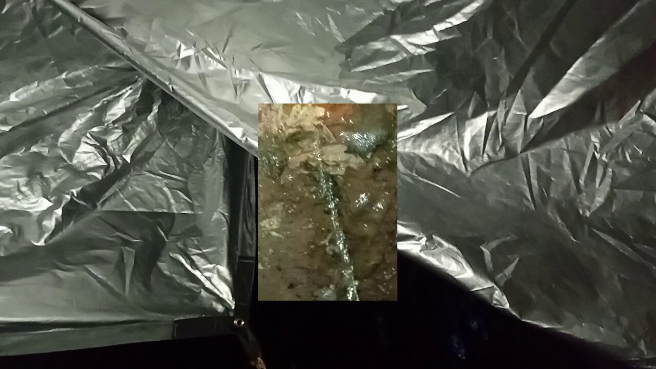 10, morning, darkness after the storm, felt like a