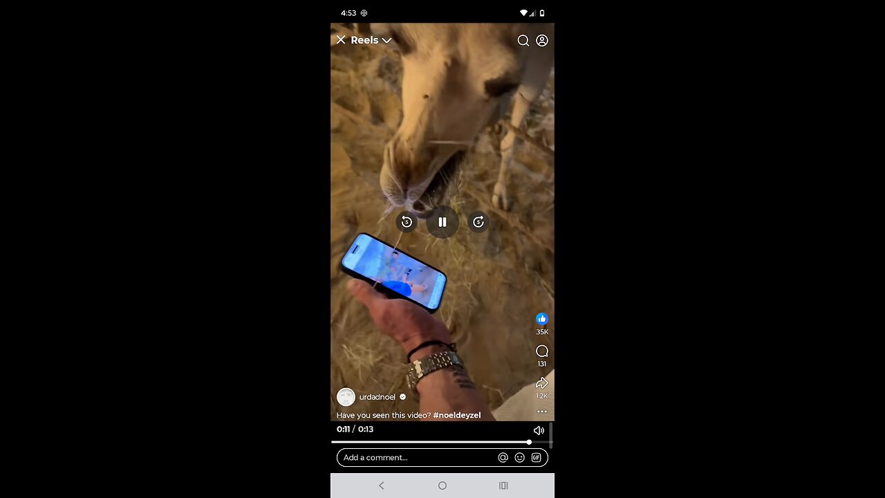 dude have you seen this video