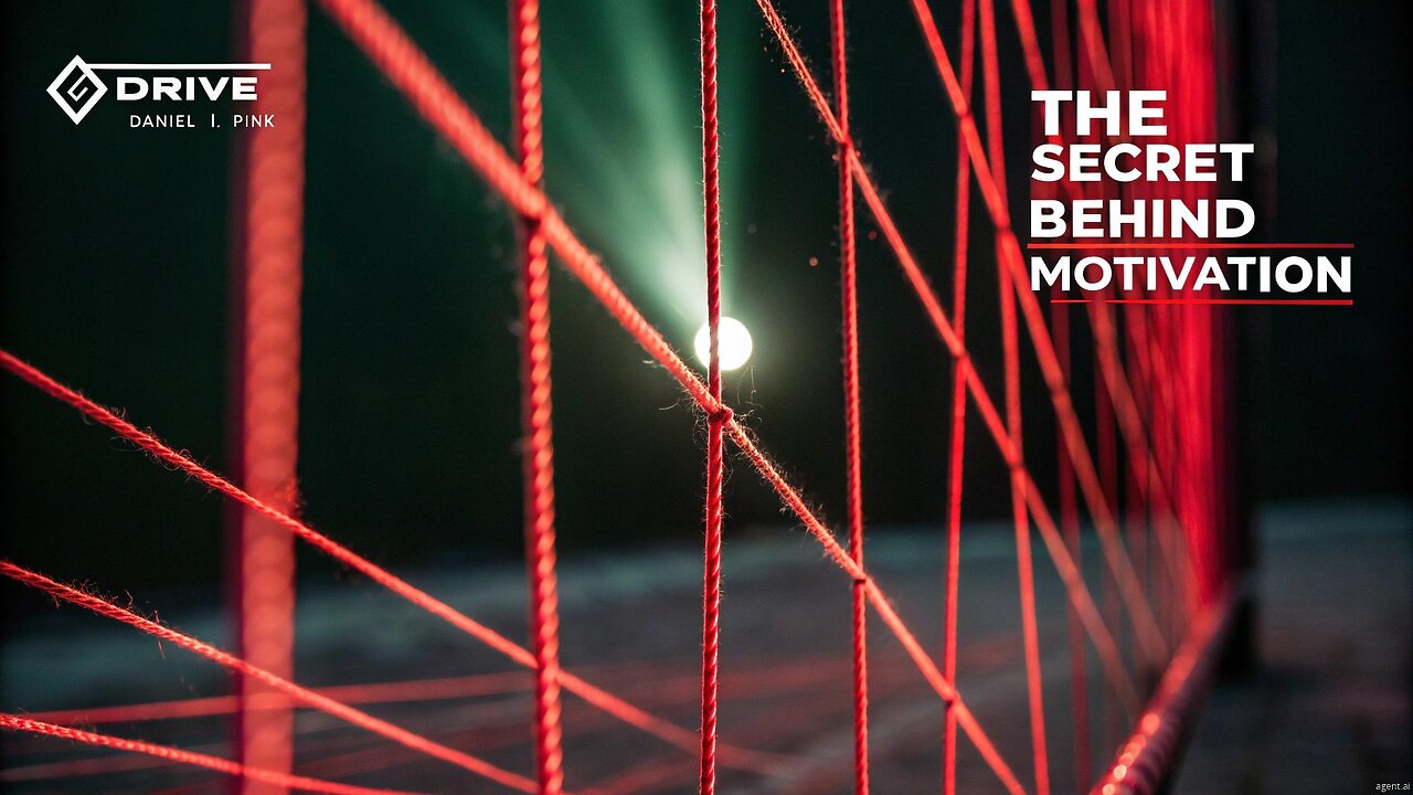 The 3 Secret Motivators That Beat Money Every Time 💰🚫