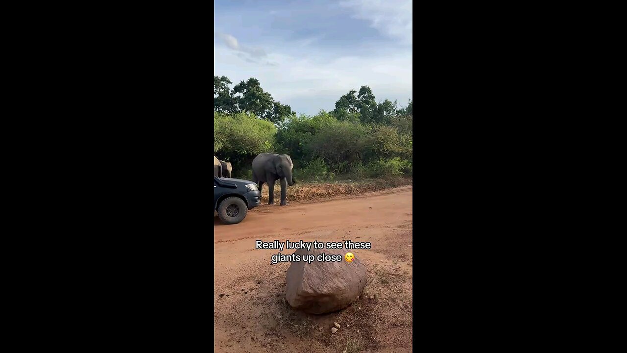 Welcome to Sri Lanka 🇱🇰