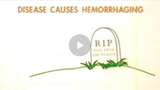 Biological Airborne Weapons | Chemtrail Spraying | Sound Familiar