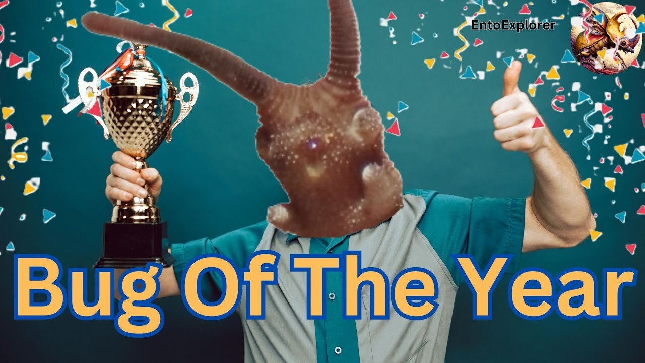 "Bug of the Year" Elected in New Zealand
