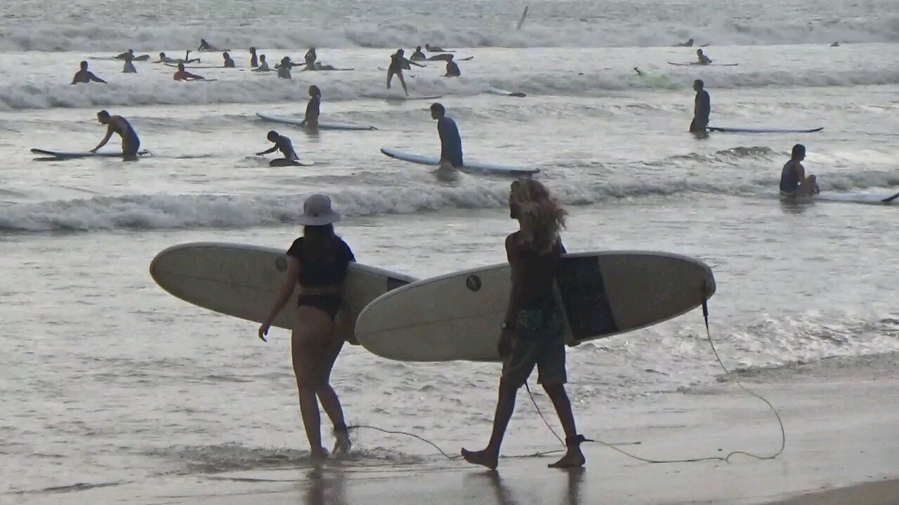 Surf