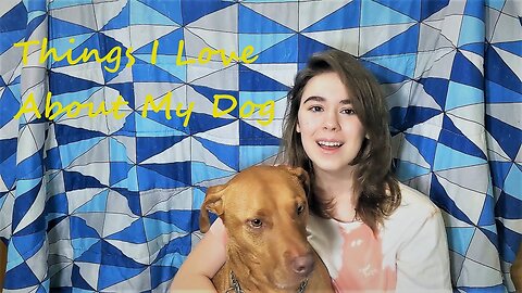 Things I Love About My Dog