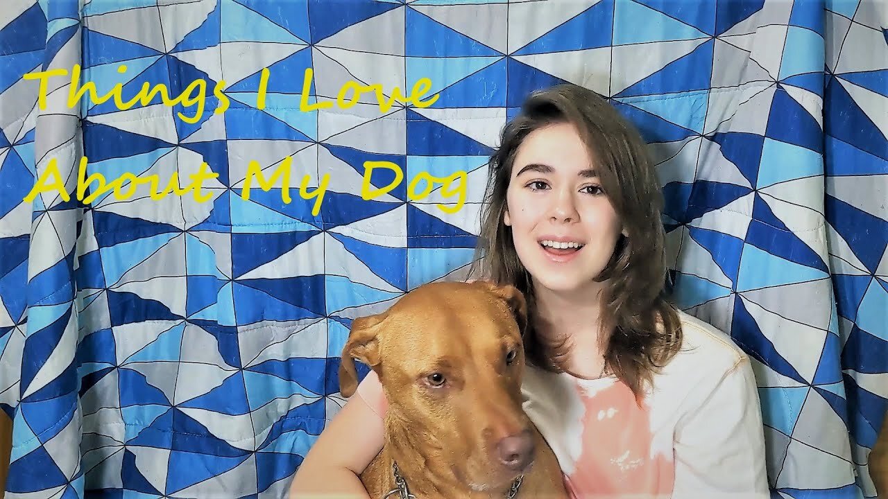Things I Love About My Dog