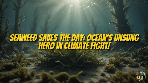 The Seaweed Revolution: Transforming Ocean Health and Climate
