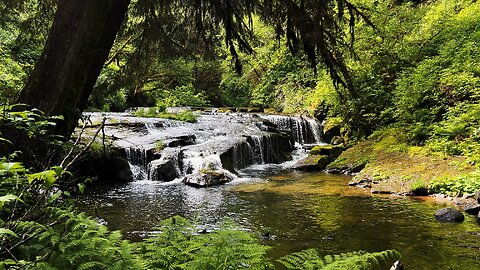 (4K UHD) HIKING HIGHLIGHTS - Elk Wallow Falls @ Sweet Creek Trail! | Siuslaw NF | Oregon Coast Range