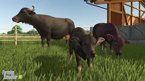 🔴LIVE! | Caring for Farm Animals and Dealing with Tight Roads