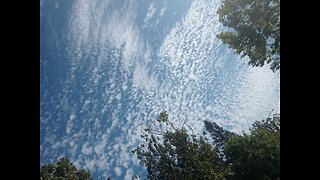 Juxtaposition's Lexicon & Terminology