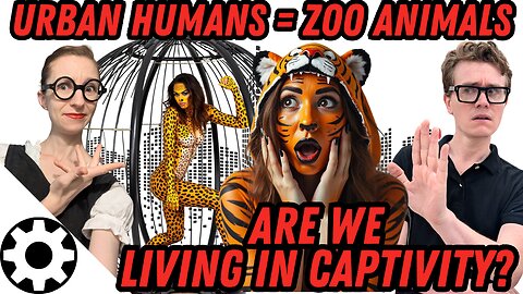 Behavior Disfunction Mirroring Zoo Animals (Zoochosis): True Cause of Birth Rate Collapse?