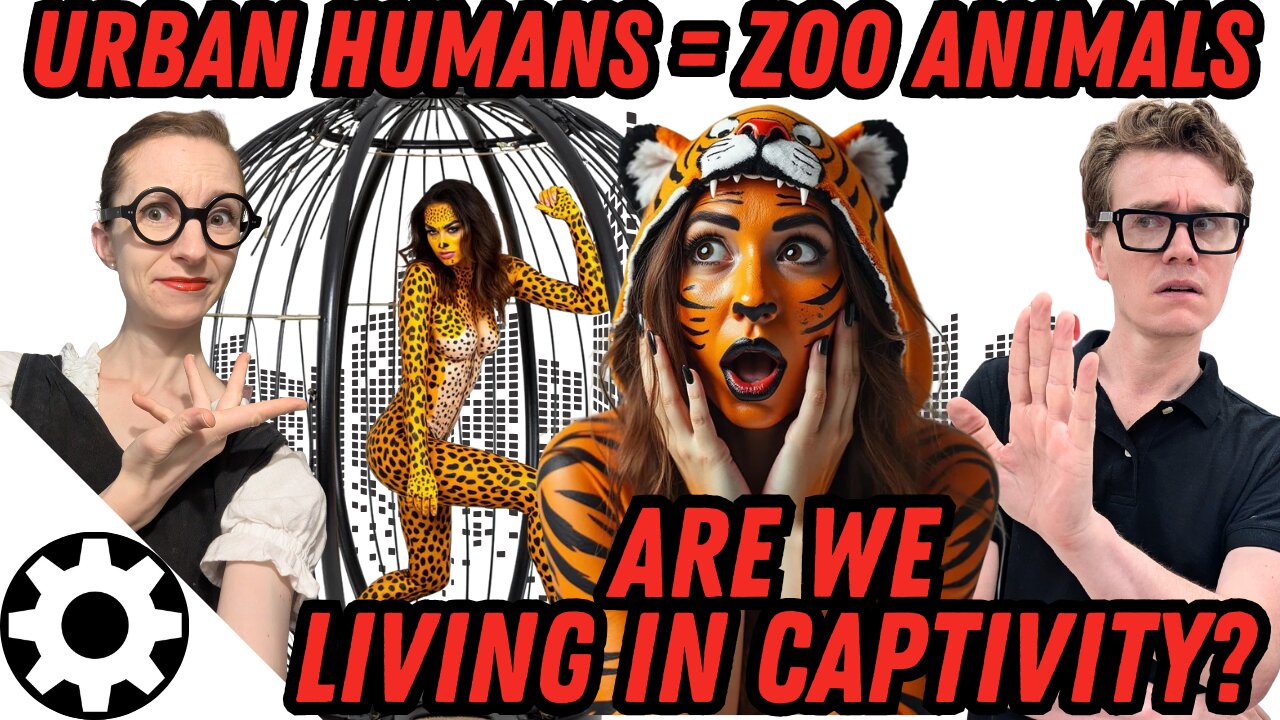 Behavior Disfunction Mirroring Zoo Animals (Zoochosis): True Cause of Birth Rate Collapse?