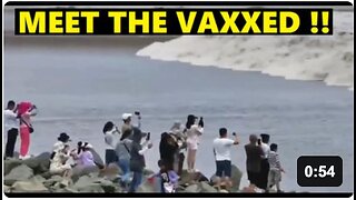 Pretty sure all this lot is vaxxed !!