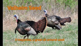 Valheim Seed - 2 maypoles, a great all around seed - krJpHrPXdY