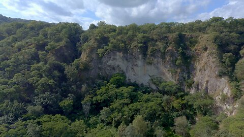 Aerial shot of a a big cliff surrounded by a lush forest on a sunny day