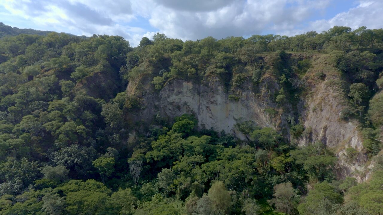 Aerial shot of a a big cliff surrounded by a lush forest on a sunny day