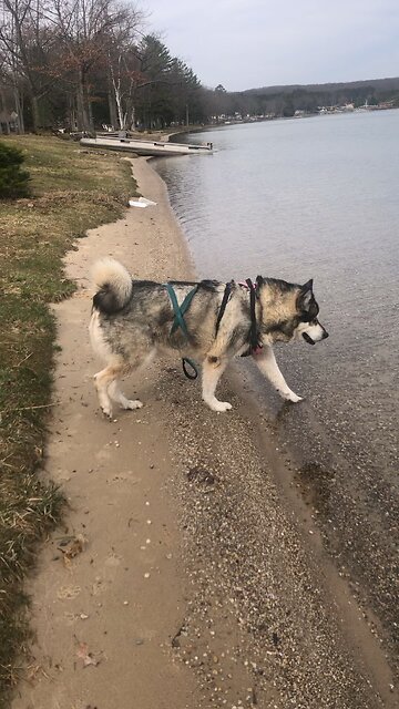 Wednesday April 23, Apply your heart to any instructions