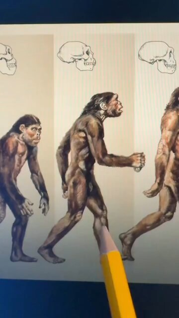 🌌 THE BOOK OF WISDOM VOL. 1 — TRUE EVOLUTION IS ABOUT YOUR SOUL 🔥✨