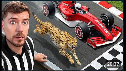 Worlds fastest cars vs cheetah
