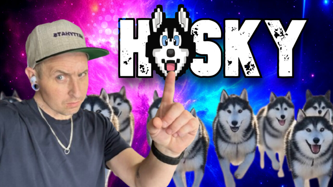 HOSKY - The Meme Coin Changing the way we look at Meme Coins