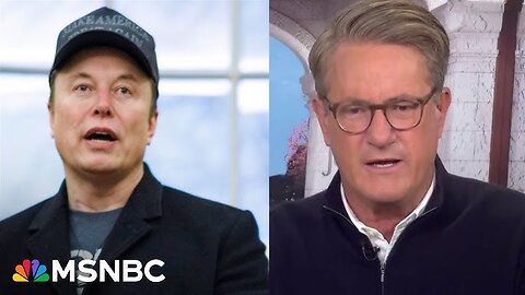 Joe: A Dizzying Rise and Fall for Elon Musk in Washington