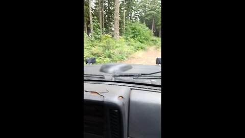 The Jeepster91 from YouTube Narrowly passing through an overgrown road.