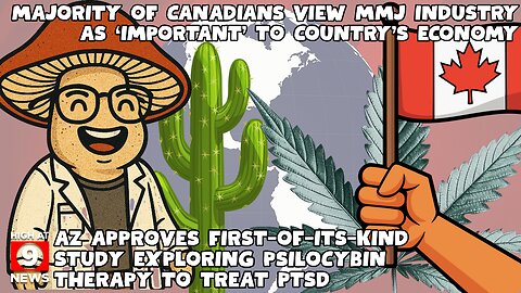 Arizona Approves First-Of-Its-Kind Study Exploring Whole Mushroom Psilocybin Therapy To Treat PTSD