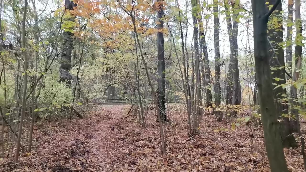 a tak ... się uśmiecham ...