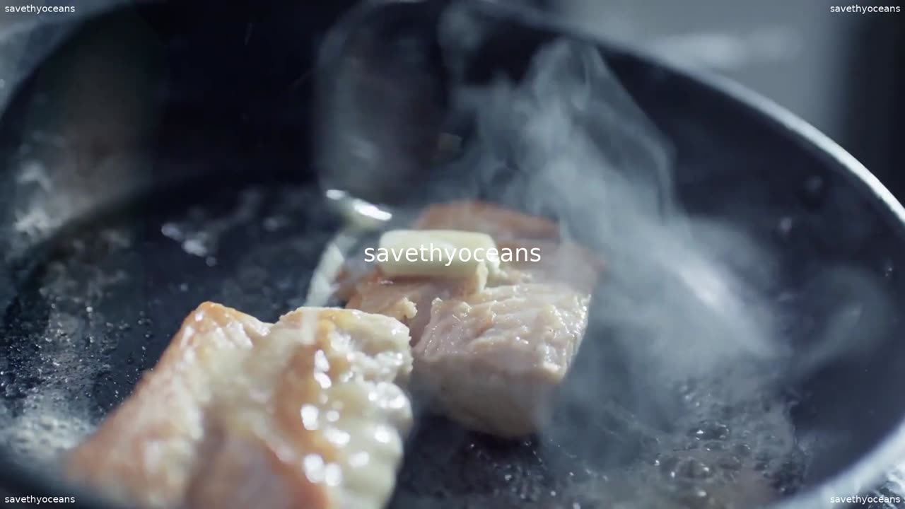 Pour La JournÃ©e Mondiale Des OcÃ©ans