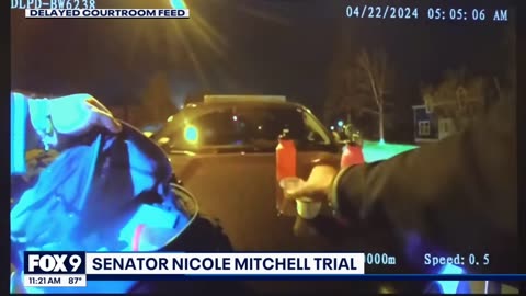 Police bodycam reveals Sen. Nicole Mitchell's burglary arrest